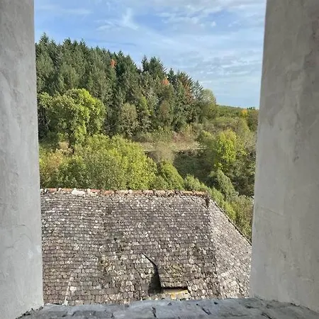 Maison De Village Avec Vue 4/5 Personnes Lou Rouchou Voutezac Buitenkant foto